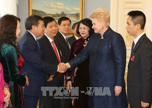 Phó Chủ tịch nước Đặng Thị Ngọc Thịnh và Tổng thống Cộng hòa Litva Dalia Grybauskaite với các đại biểu Việt Nam. Ảnh: TTXVN