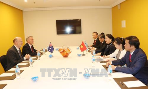 Chủ tịch Quốc hội Nguyễn Thị Kim Ngân tiếp Chủ tịch Hội hữu nghị Australia - Việt Nam Kim Sampson. Ảnh: TTXVN