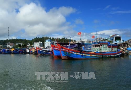 Ngân hàng gặp khó trong việc kiểm tra, giám sát tài sản đảm bảo tiền vay và nguồn thu nhập của ngư dân để trả nợ chương trình cho vay theo Nghị định 67. Ảnh minh họa: TTXVN