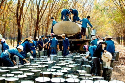 Nếu không bán hết cổ phần đấu giá công khai, VRG sẽ chuyển sang phương thức bán thỏa thuận.