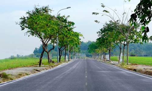 Người Việt mê đất, gom mua đất bằng mọi giá dù phải sống thiếu thốn, cõng thêm nợ nần vì tin rằng có đất là có hy vọng đổi đời. Ảnh: K.A