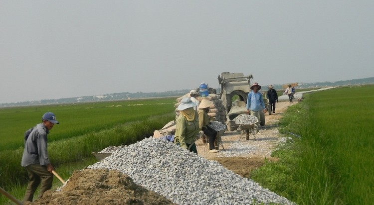 Ảnh minh họa: Internet