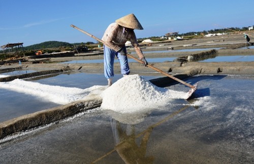 Một phụ nữ vun muối thành đống trên đồng muối Sa Huỳnh.