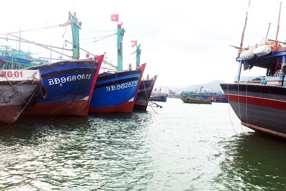 Chuyển BQL cảng cá Bình Định thành công ty CP, Nhà nước nắm giữ 65% vốn điều lệ, thực hiện trong giai đoạn 2018 - 2020. Ảnh minh họa: Internet