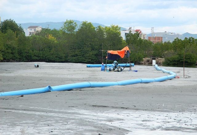 Công ty CP Thị Nại Eco Bay đang lấp khu rừng đước lâu năm ví như "lá phổi xanh" của thành phố để làm biệt thự.