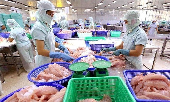 Năm 2020: ACL đặt kế hoạch lãi trước thuế giảm hơn 52%