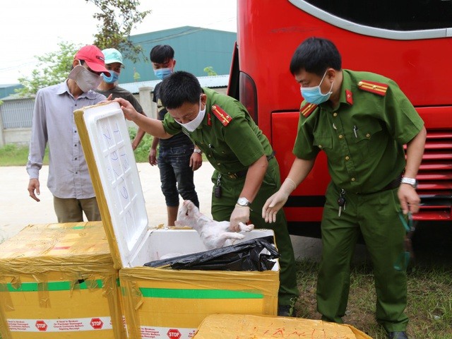 Lực lượng chức năng tiến hành kiểm đếm lượng thực phẩm vi phạm trên chiếc xe giường nằm. (Ảnh: Công an Hà Tĩnh)