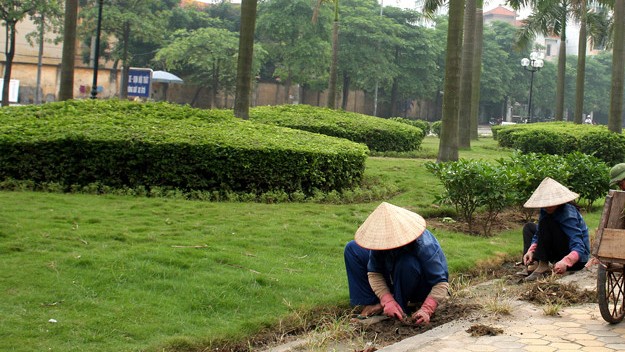 Ảnh minh họa.