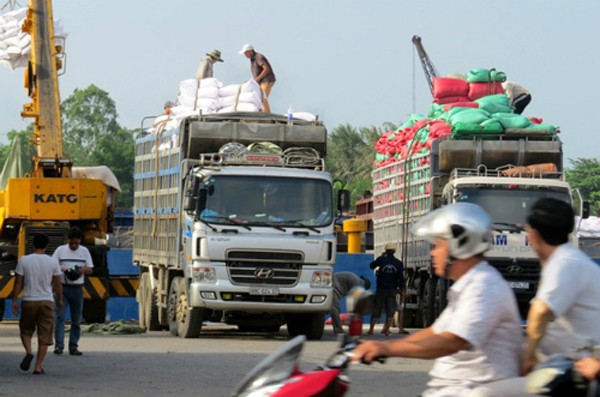 Chính phủ chỉ đạo Bộ Giao thông và các địa phương tổ chức ký cam kết không chở quá tải, quá khổ. Ảnh minh hoạ:Giang Chinh