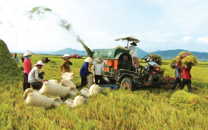 Huy động nguồn lực điều tra về nông thôn, nông nghiệp