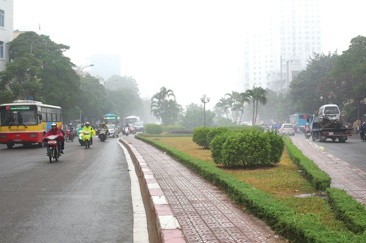 Gói thầu “Di chuyển cây xanh, chỉnh trang, trồng mới cây xanh, thảm cỏ và chi phí hạng mục chung” do Ban Duy tu các công trình hạ tầng giao thông thuộc Sở GTVT Hà Nội mời thầu. Ảnh: Nhã Chi