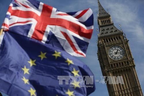 Sách Trắng Brexit còn nhiều "điểm mù". Ảnh minh họa: TTXVN