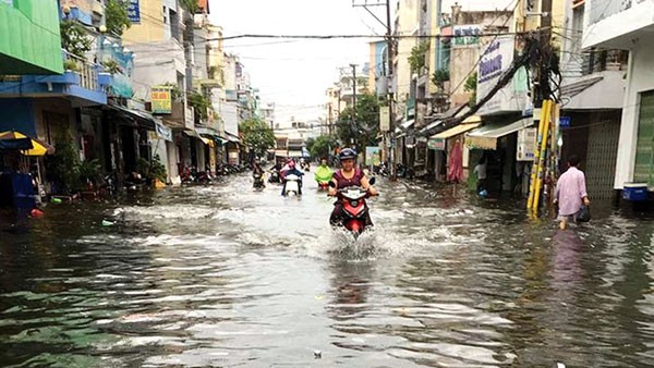 Công ty CP Công trình giao thông Sài Gòn từng trúng thầu gói thầu gần 120 tỷ đồng tại công trình cải tạo hệ thống thoát nước đường Kinh Dương Vương (TP.HCM)