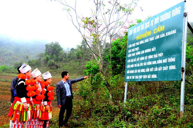 Gói thầu Làm bảng biển, tờ rơi tuyên truyền luật quản lý bảo vệ rừng và phòng cháy chữa cháy rừng năm 2018 của Chi cục Kiểm lâm Hòa Bình được đấu thầu qua mạng. Ảnh minh họa: Đào Thanh