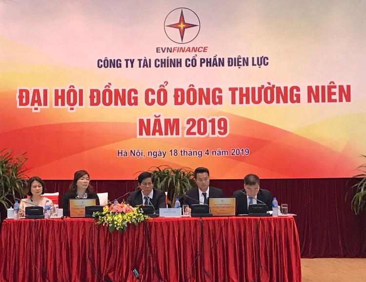 Các cổ đông tham dự đại hội đã thông qua việc trả cổ tức năm 2017 và 2018 bằng cổ phiếu. Ảnh: Hoàng Việt