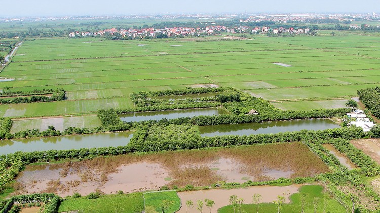 Quỹ đất chưa giải phóng mặt bằng thanh toán dự án BT phải nằm trong quy hoạch, kế hoạch sử dụng đất được cơ quan nhà nước có thẩm quyền phê duyệt