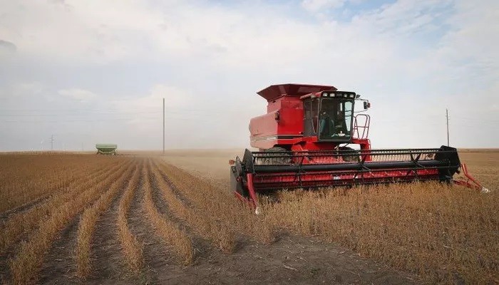 Một cánh đồng trồng đậu tương ở Mỹ - Ảnh: Getty/CNBC.