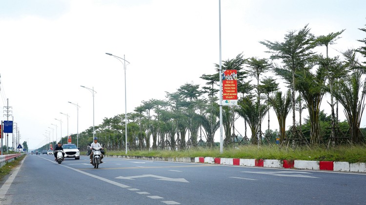 Các gói thầu quản lý, duy tu, cải tạo, trang trí cây xanh trên địa bàn TP. Hà Nội năm 2020 - 2024 có tổng giá trị hơn 1.800 tỷ đồng. Ảnh: Nhã Chi