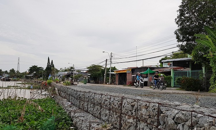 Ảnh minh họa: Internet 