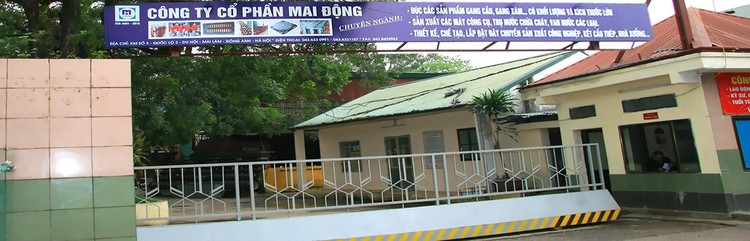 Một trong các tài sản bảo đảm của khoản nợ là Quyền sử dụng đất và toàn bộ tài sản gắn liền với đất trên diện tích 36.163,76m2 tại xã Mai Lâm, huyện Đông Anh, TP. Hà Nội của Công ty CP Mai Động