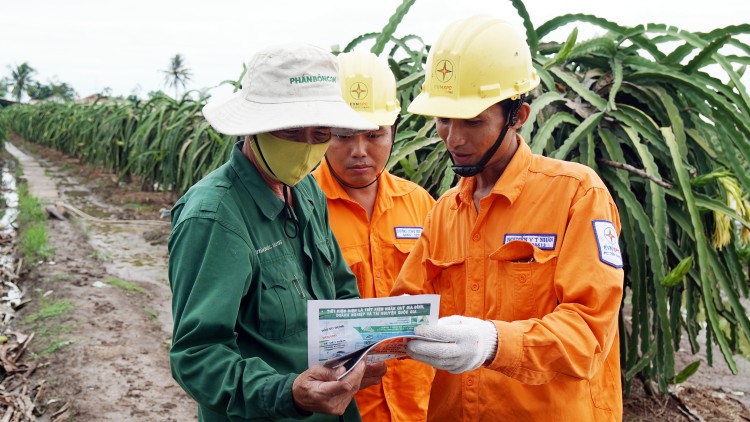 Hướng dẫn người dân trồng thanh long tại huyện Chợ
Gạo, tỉnh Tiền Giang sử dụng điện an toàn để chông đèn thanh long