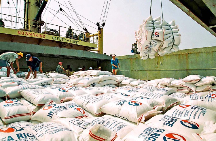 Thủ tướng yêu cầu đảm bảo an ninh lương thực và thúc đẩy sản xuất, xuất khẩu gạo bền vững