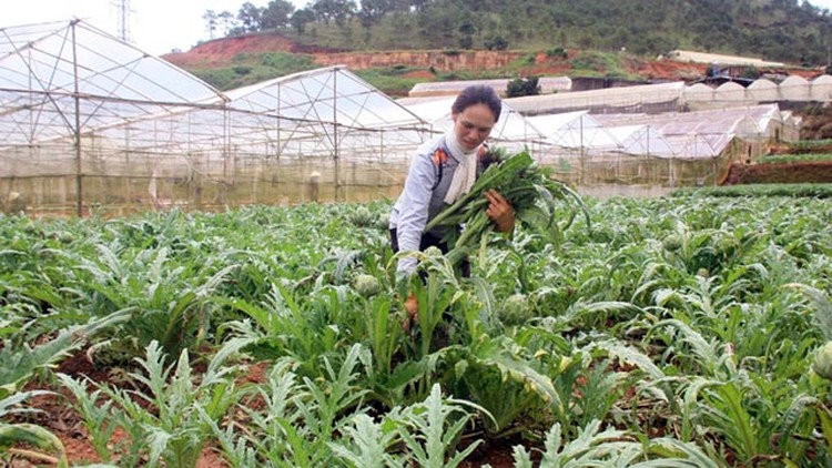 Ảnh chỉ mang tính minh họa. Nguồn Internet