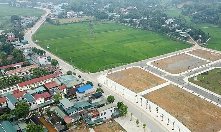 Ảnh chỉ mang tính minh họa. Nguồn Internet