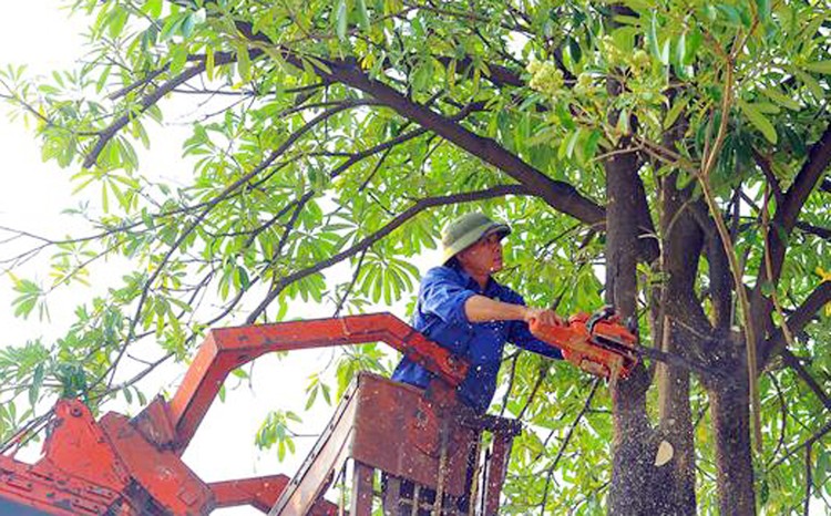 Ảnh chỉ mang tính minh họa. Nguồn Internet