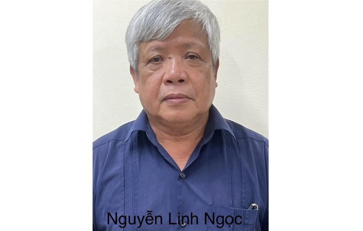 Bị can Nguyễn Linh Ngọc.