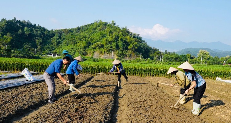 Nông dân huyện Bảo Thắng, Lào Cai khắc phục hậu quả thiên tai, chuẩn bị đất gieo vụ mới.