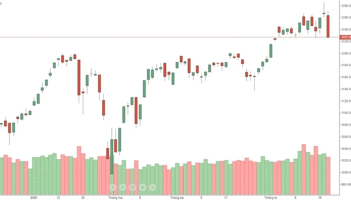 VN-Index có một phiên sụp đổ kinh hoàng.