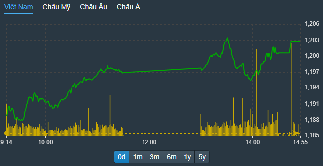 VN-Index chiều nay đánh võng quanh mốc 1.200 điểm nhưng chốt phiên vẫn vượt qua được.