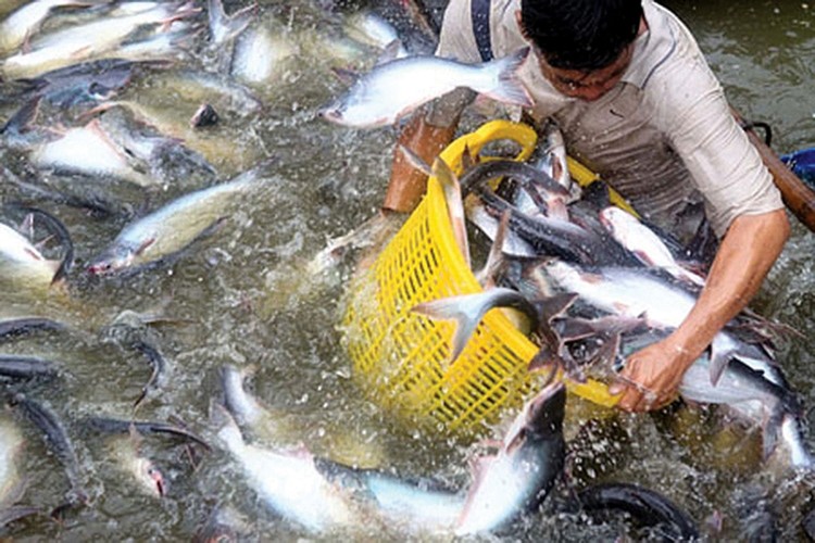 10 ngành kinh tế ưu tiên đã được lựa chọn dựa trên thế mạnh của TP. Cần Thơ và triển vọng phát triển của từng ngành