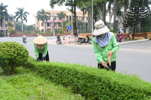 Gói thầu quản lý, chăm sóc, bảo dưỡng công viên, mảng xanh và cây xanh khu vực TP. Thủ Đức (TP.HCM) có giá trúng thầu hơn 396,185 tỷ đồng, giảm 20,8 tỷ đồng so với giá gói thầu. Ảnh chỉ mang tính minh họa: Internet