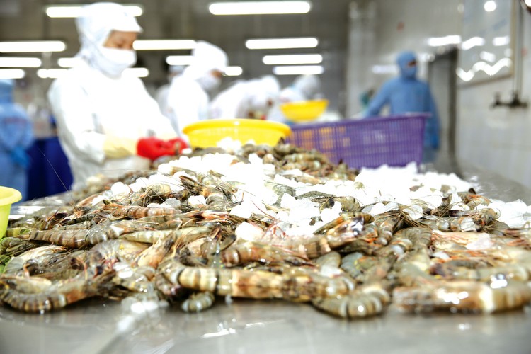 5 tháng đầu năm nay, xuất khẩu thủy sản của Việt Nam đạt khoảng 3,5 tỷ USD, giảm gần 30% so với cùng kỳ năm trước. Ảnh: Lê Tiên