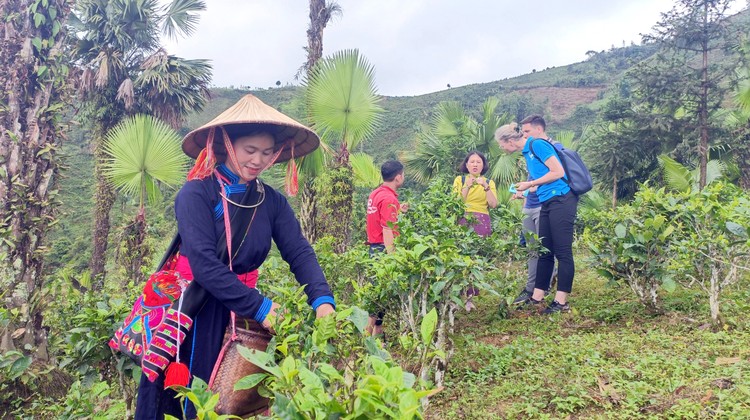 Việc xây dựng hệ thống dữ liệu quản lý chương trình mục tiêu quốc gia nhằm tăng cường công tác giám sát, đánh giá tình hình thực hiện tại các cấp. Ảnh: Phạm Bằng