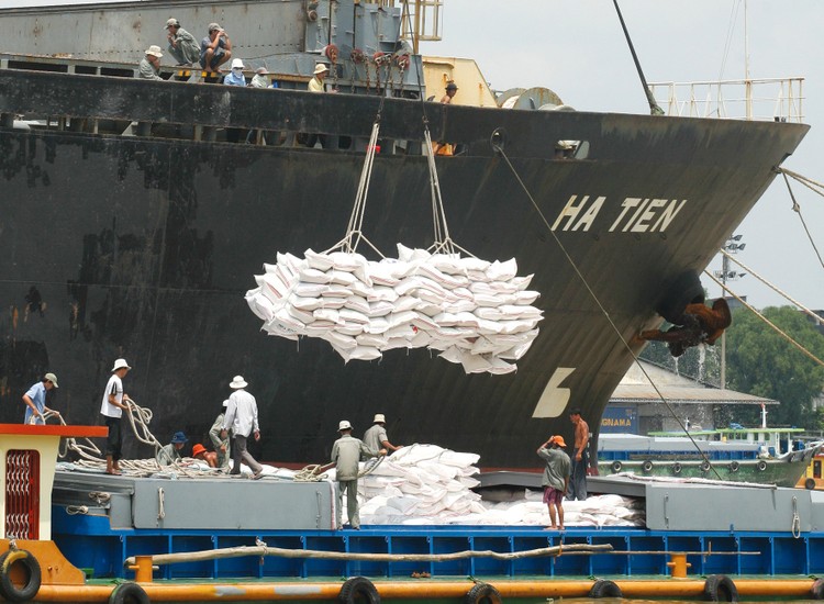 Nhu cầu và giá gạo xuất khẩu dự kiến sẽ ở mức cao từ nay đến cuối năm. Ảnh: Song Lê
