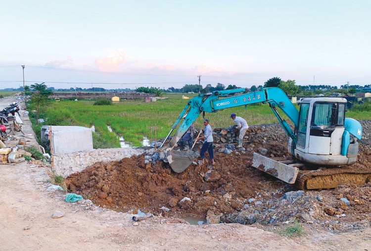 Gói thầu Thi công xây dựng thuộc Dự án Đường ra cánh đồng lúa Chùa Tân Long (huyện Đức Hòa, tỉnh Long An) dành cho nhà thầu là doanh nghiệp cấp nhỏ hoặc siêu nhỏ. Ảnh minh họa: Tiên Giang