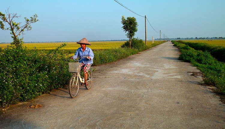 Quy mô tuyến đường của Dự án Xây dựng lộ bê tông từ cầu Cây Dương đến nhà ông Thống (huyện Hòa Bình, Bạc Liêu) là đường giao thông nông thôn, bề rộng mặt đường 3m. Ảnh minh họa: Nhã Chi