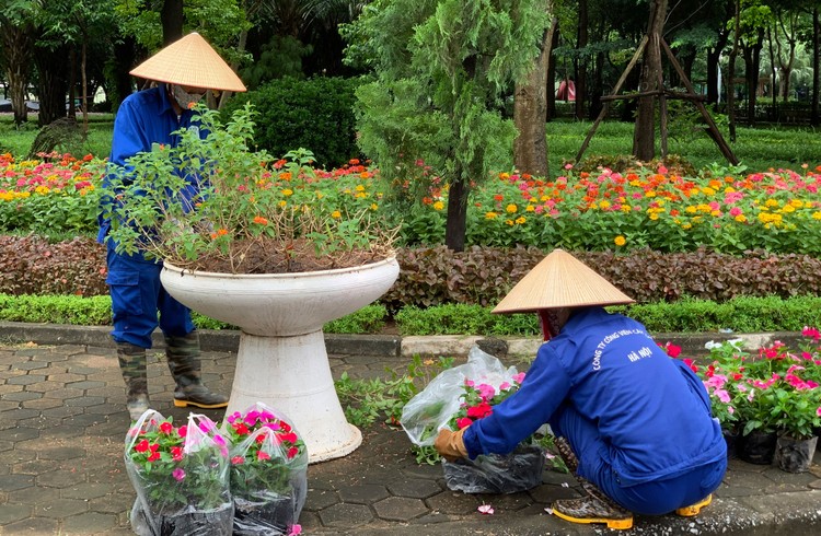 Công ty CP BiUni bị cấm thầu 3 năm vì có hành vi gian lận khi kê khai nhân sự chủ chốt không trung thực tại gói thầu may đồng phục của Công ty TNHH MTV Công viên cây xanh Hà Nội. Ảnh minh họa: Nhã Chi