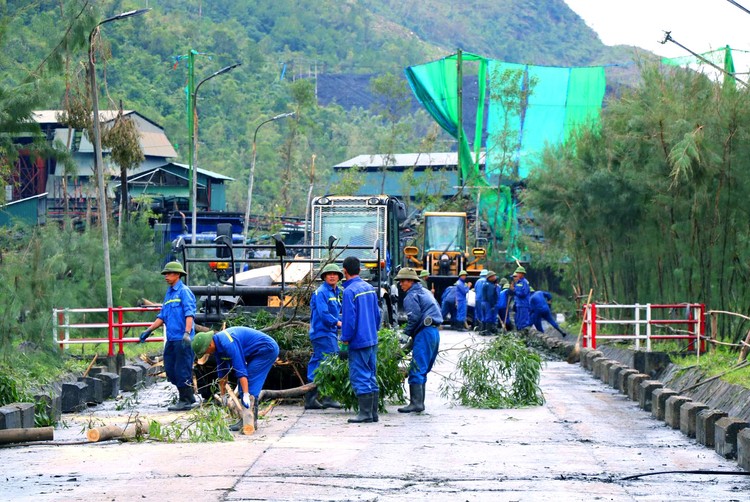 Các doanh nghiệp ngành than tại Quảng Ninh đang khắc phục thiệt hại của bão để khôi phục hoạt động sản xuất, kinh doanh. Ảnh: Bảo Linh