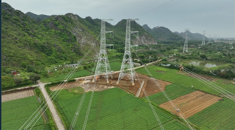 Gói thầu số 39 Dự án Đường dây 500kV Nhà máy Nhiệt điện Nam Định I - Thanh Hóa nằm trên địa bàn huyện Nga Sơn (Thanh Hóa), gồm 16 vị trí móng (ảnh: XT) 