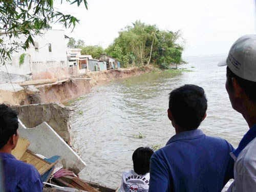 Xây dựng Tân Nam có hành vi chuyển nhượng thầu tại Dự án Kè chống sạt lở sông Tiền bảo vệ dân cư khu vực thị trấn Phú Mỹ, huyện Phú Tân, tỉnh An Giang. Ảnh: Internet