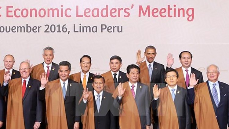 Chủ tịch nước Trần Đại Quang khẳng định, đăng cai Năm APEC 2017 là trọng tâm đối ngoại của Việt Nam đến năm 2020  Ảnh: TTXVN