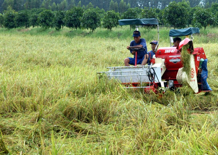 Thủ tướng Chính phủ vừa quyết định thành lập Tổ Chỉ đạo liên ngành về liên kết vùng Đồng bằng sông Cửu Long. Ảnh: Tường Lâm