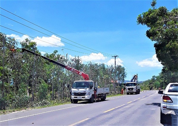 Phát quang cây xanh, đảm bảo an toàn hành lang lưới điện trước mùa mưa bão