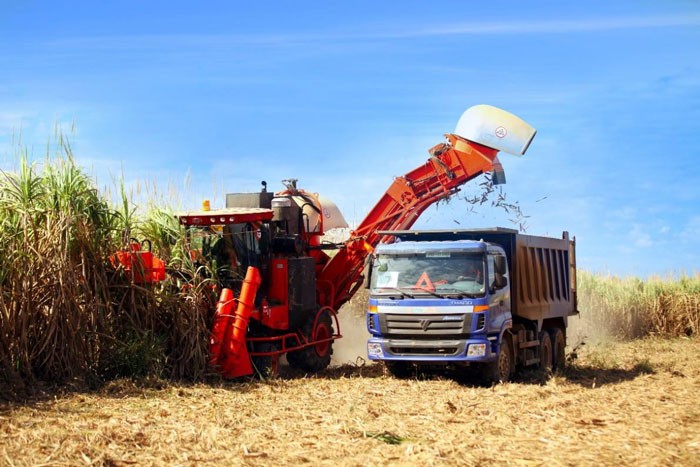 14,2 triệu cổ phiếu HNG đã rời khỏi “tay” của HAGL trong hơn 2 tháng đầu năm. Ảnh: N.C