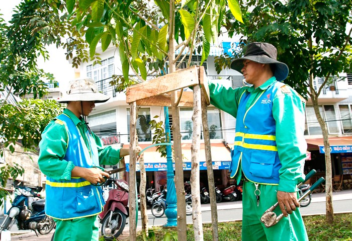 Việc bên mời thầu đưa ra tiêu chí yêu cầu nhân sự chăm sóc cây xanh chỉ dành cho kỹ sư xây dựng cầu đường là có chủ ý hạn chế sự tham gia của nhà thầu. Ảnh: Lê Tiên