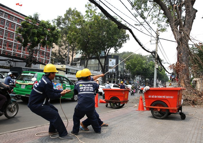 Đấu thầu rộng rãi là phương pháp hiệu quả nhất để tạo cơ hội cho DNNVV tham gia cung cấp sản phẩm, dịch vụ công. Ảnh: Lê Tiên